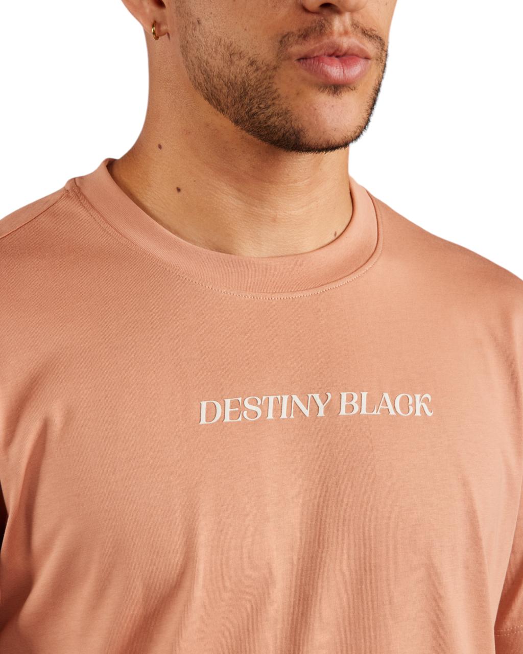 CAMISETA DESTINY ROSADA